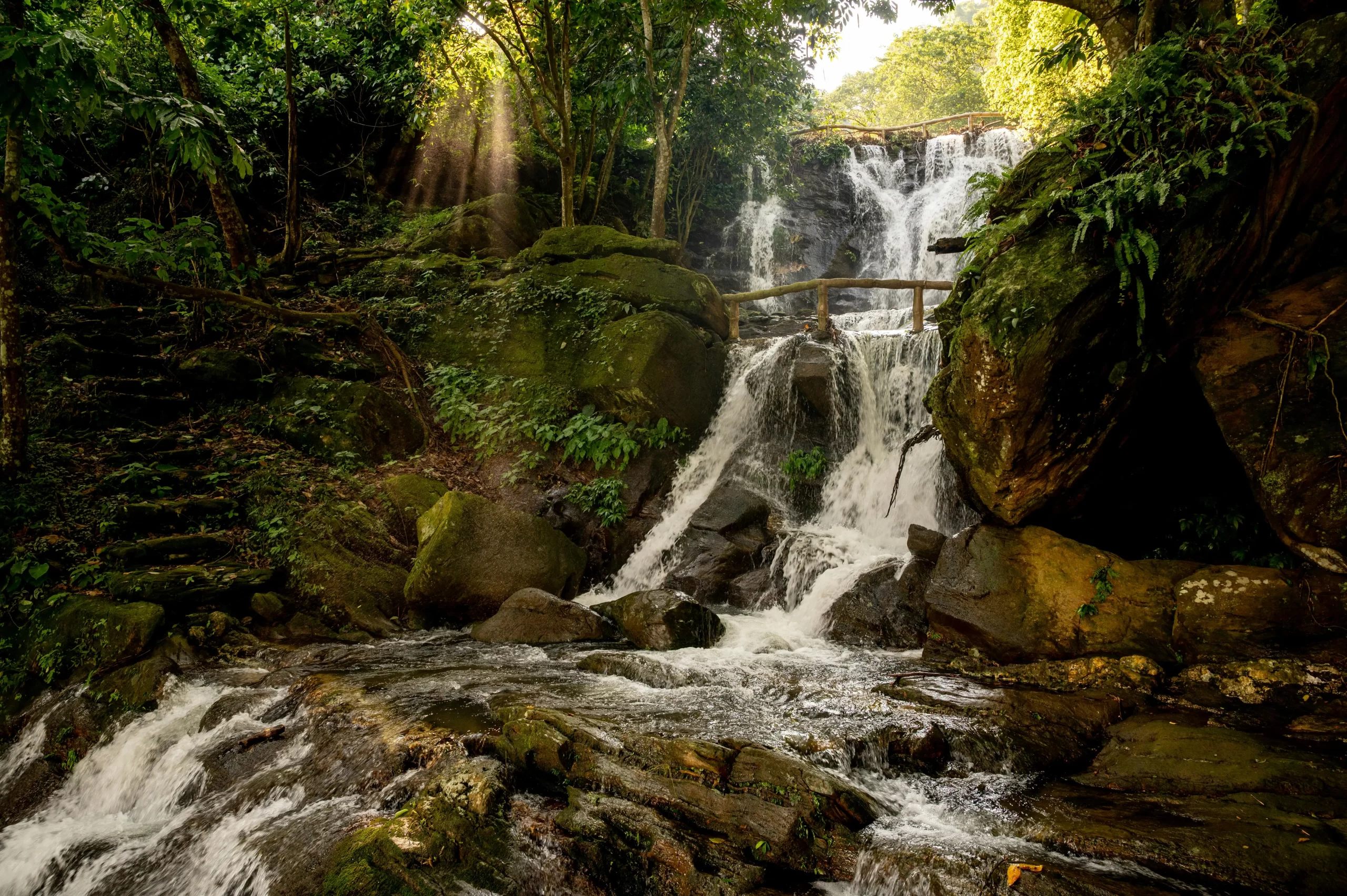 tesoros de la tierra