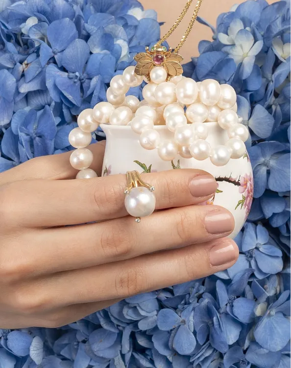 Banner Anillos de Plata