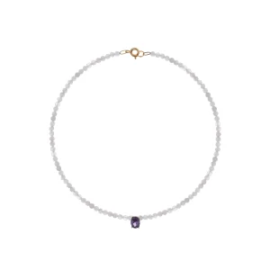 PYS COLLARAMATISTA 02